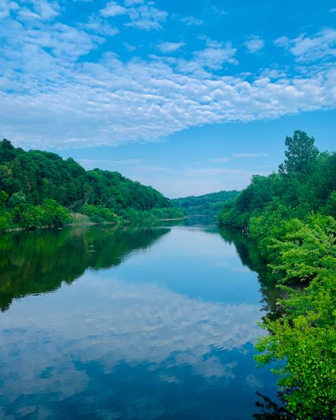 istock Lush green forest with blue sky and river landscape 1224282085