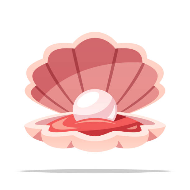 ilustrações, clipart, desenhos animados e ícones de concha de molusco com ilustração isolada de vetor de pérola - pearl shell jewelry gem