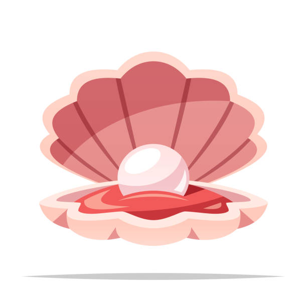202 Cartoon Clam With Pearl Illustrations & Clip Art - iStock