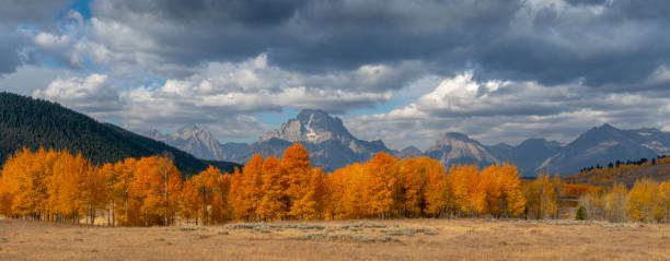 istock Red, yellow, and orange leaves changing with mountain in background 1224289855