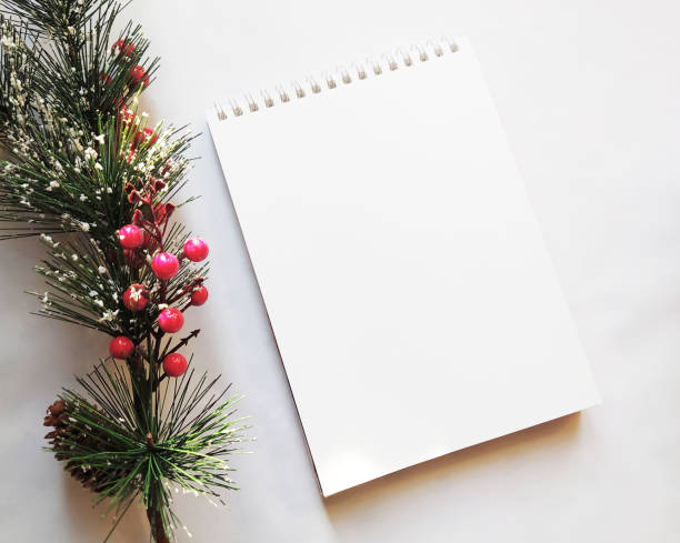 istock flatlay with pine tree branch,  sketchbook on white background 1224290092