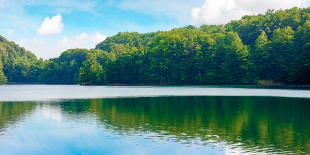 lake among beech forest of vihorlat mountains