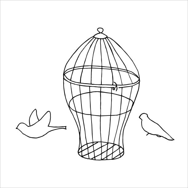 istock Isolated on white background cage and birds Stock illustration, vector, hand drawing, design element for printing, scrapbooking, postcard 1224292347