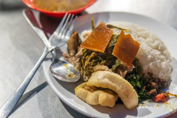 Photo of Local Pork and Rice Dish from Bali, Indonesia