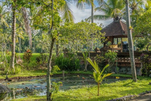 istock Balinese Luxery Resort in Indonesia 1224293967