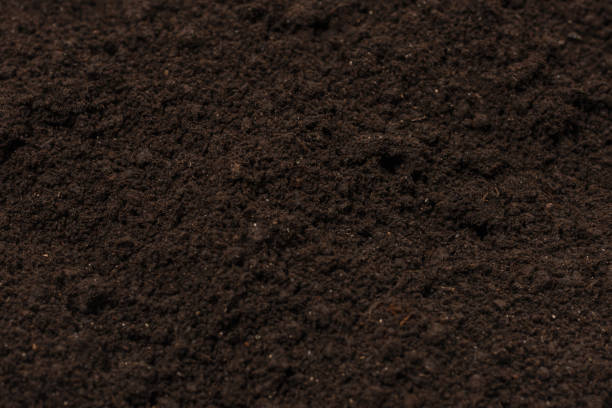 istock Black land for plant background. 1224296552