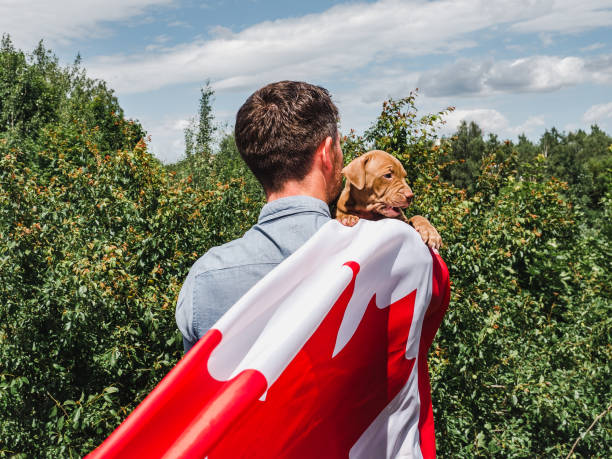 istock Handsome man and a charming puppy. Close-up 1224299118
