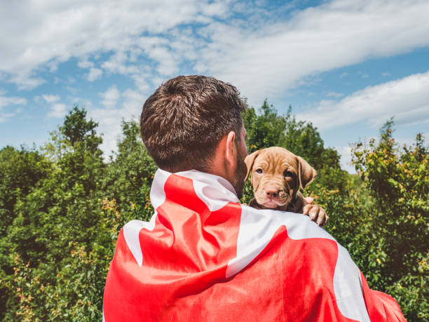 istock Handsome man and a charming puppy. Close-up 1224299149