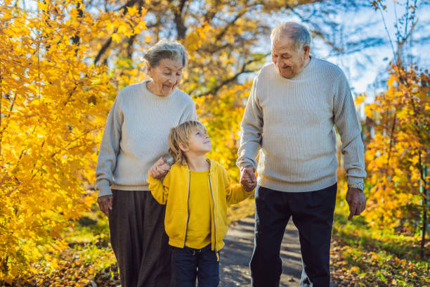 pareja de ancianos con nieto en el parque de otoño. bisabuela, bisabuelo y bisnieto - great grandson fotografías e imágenes de stock