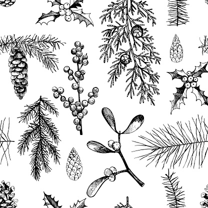Vector pattern with hand drawn Christmas plants .