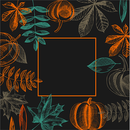 Vector frame with hand-drawn  autumn leaves and pumpkins. Vector  illustration.