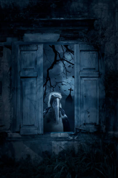 istock Halloween mystery concept 1224301593
