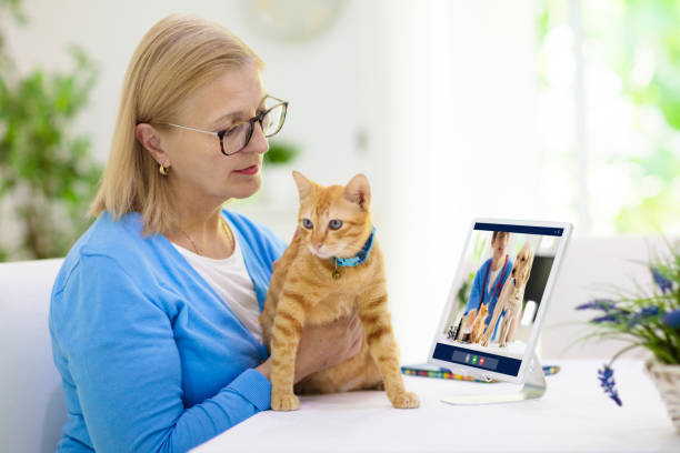 istock Online consultation with veterinarian doctor. 1224302033