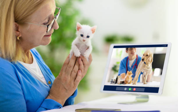 istock Online consultation with veterinarian doctor. 1224302158