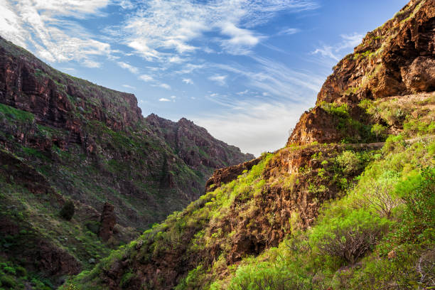 istock Hell Gorge Barranco del Inferno in Tenerife 1224303597