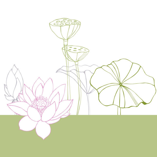 illustrations, cliparts, dessins animés et icônes de fond de vecteur avec le lotus. - ayurveda