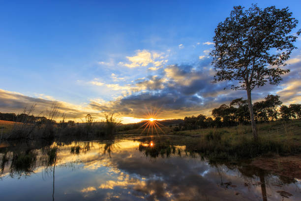 istock The lake forest in natural park in sunset 1224307100