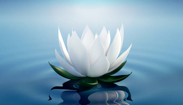 istock 3d lots flower on calm ripple water 1224312705