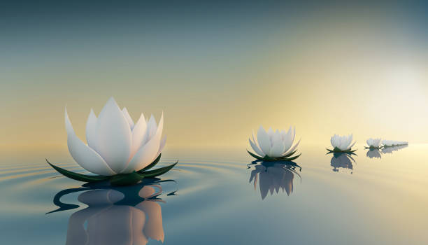 istock 3d lots flower on calm ripple water 1224312794