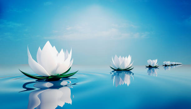 istock 3d lots flower on calm ripple water 1224312829