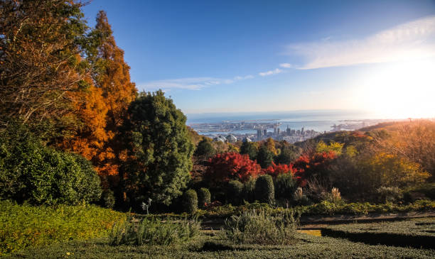 istock Top of Kobe 1224312873