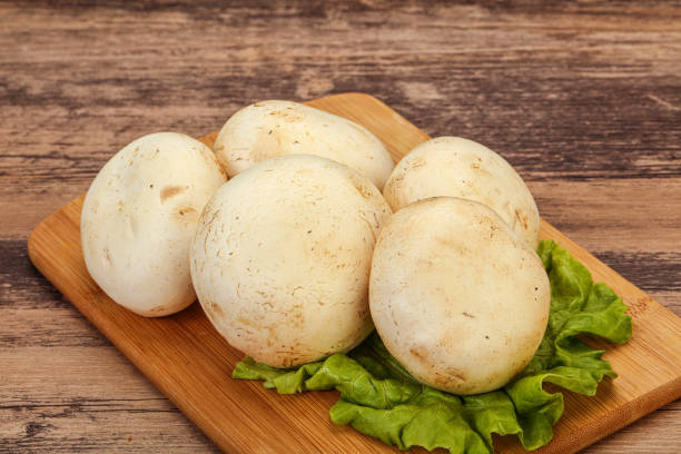 istock Raw mushrooms over the board 1224313200