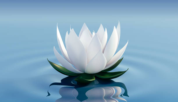 istock 3d lots flower on calm ripple water 1224313465