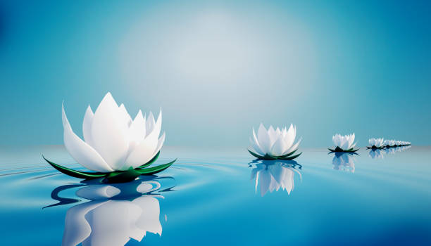 istock 3d lots flower on calm ripple water 1224313470