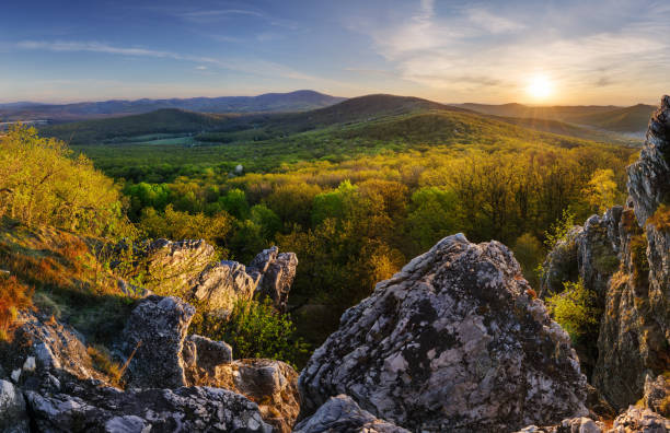 istock Panorama of rock and forest landscape 1224313752