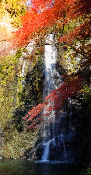 istock Autumn at Minoo park 1224316902