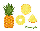 Pineapple set. Whole pineapple and slices isolated on a white background. Vector illustration of tropical fruit in cartoon flat style.