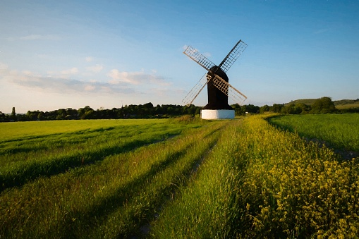 The evening draws in and the Summer sun begins to set on Pitstone Windmill in the Chiltern Hills, deep in the English countryside. Processed in a painterly style.