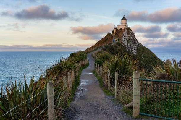 istock Nugget Point Lighthouse In The Afternoon Sun 1224321179