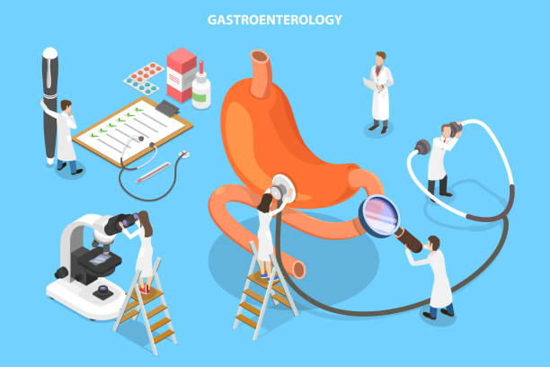 illustrazioni stock, clip art, cartoni animati e icone di tendenza di concetto vettoriale piatto isometrico 3d di gastroenterologia, sistema digestivo e suoi disturbi. - alimentary