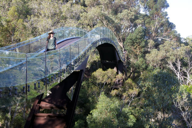 istock Perth Walkway Glass Arched Bridge Western Australia 1224323479