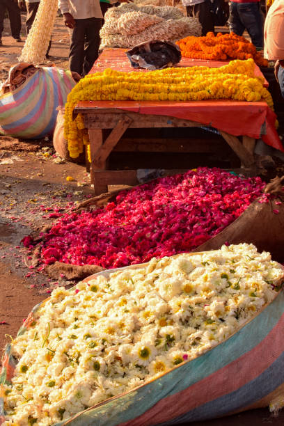 ghazipur flower market situation in the morning, the flower itself came from china, vietnam, thailand and india, flower market in delhi - india bangalore flower business imagens e fotografias de stock