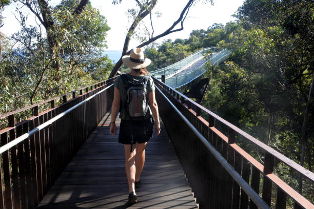 istock Perth Walkway Glass Arched Bridge Western Australia 1224323581