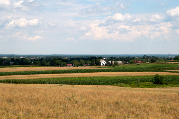 istock View across farm fields to distant village in summer 1224324567