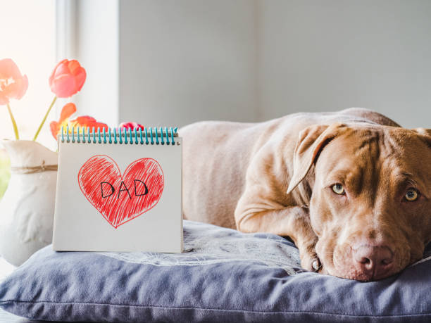 istock Charming puppy and heart drawing. Side view 1224324959