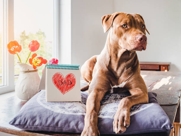 istock Charming puppy and heart drawing. Side view 1224325040