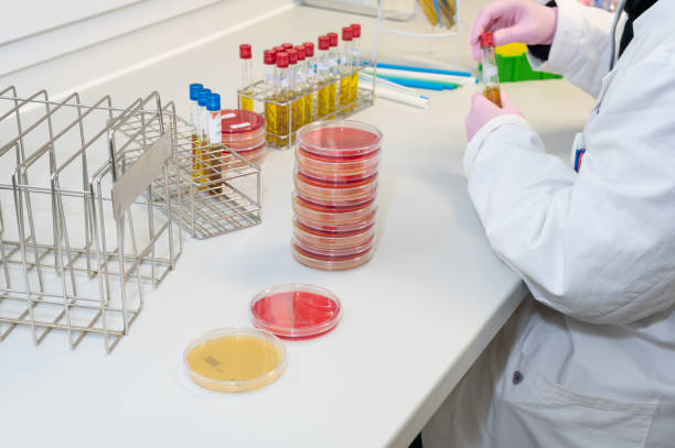 istock laboratory scene in a laboratory for microbiology with medical samples 1224325739