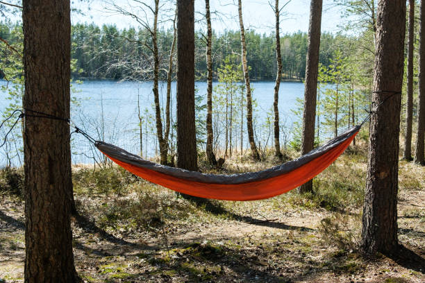 istock hammock forest between trees holiday woman relax sunny wather 1224327215