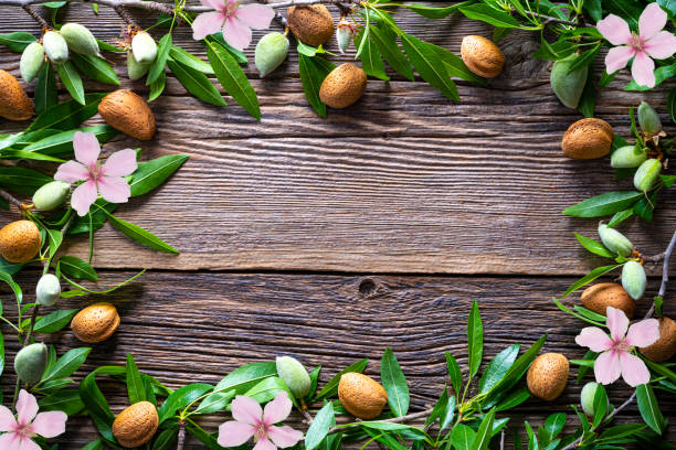 istock Almonds frame copy space almond fruits tree branch on wood 1224328936