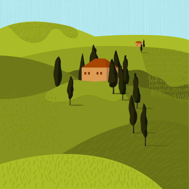 illustrations, cliparts, dessins animés et icônes de paysage toscan. maison dans les arbres. - tuscan cypress