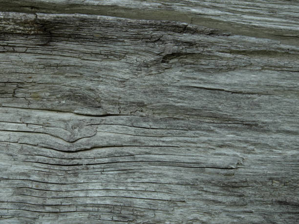 istock Old wood texture as background. Rough board. 1224330818