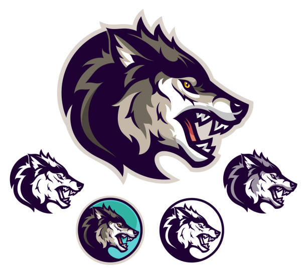 ilustrações de stock, clip art, desenhos animados e ícones de angry wolf emblem - lobo