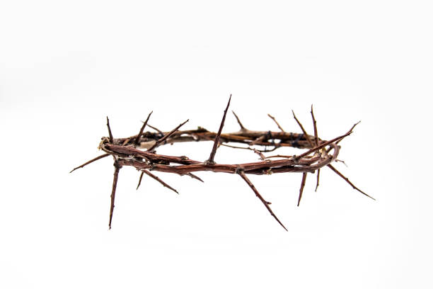 흰색 배경에 가시의 왕관. 컨셉 포토 투 디자인에 사용. 가시가 있는 가지화환 - easter crown of thorns forgiveness savior 뉴스 사진 이미지