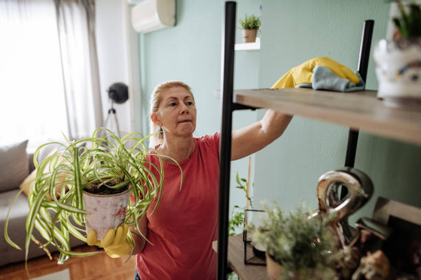 Woman wiping dust from furniture Woman working at home, cleaning the floors, washing the laundry and cleaning up the mess in the closet during quarantine dusting stock pictures, royalty-free photos & images