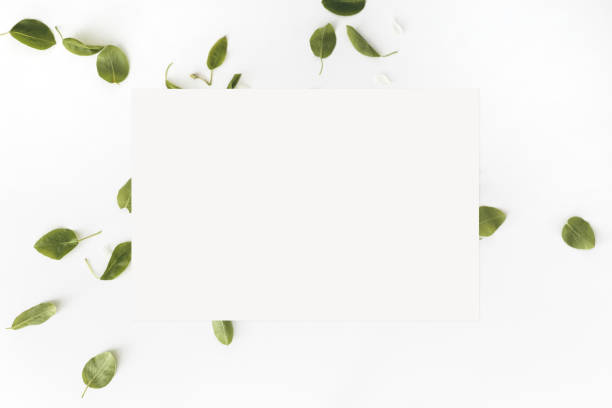 istock Leaves and blank white card on white background, Top view. Flat lay. Mockup 1224336484