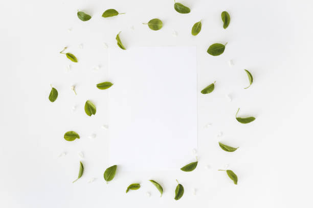 istock Leaves and blank white card on white background, Top view. Flat lay. Mockup 1224336656